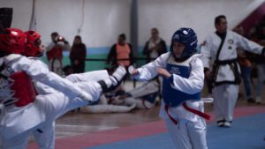 Taekwondo