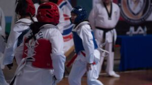 Taekwondo (35)