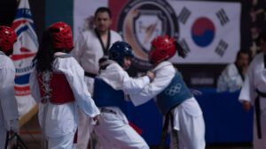Taekwondo (37)