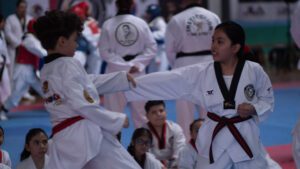 Taekwondo (40)