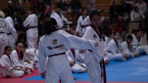 Taekwondo (42)
