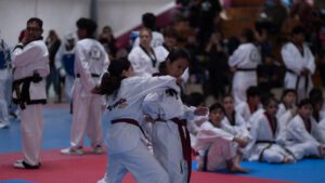 Taekwondo (43)