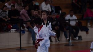 Taekwondo (44)